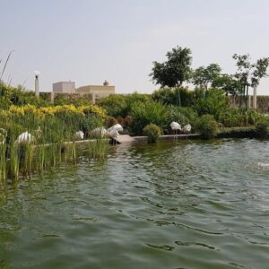 Zallaq Springs | Point Bahrain